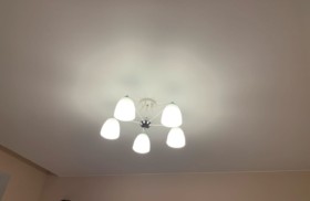 наши работы