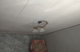 наши работы